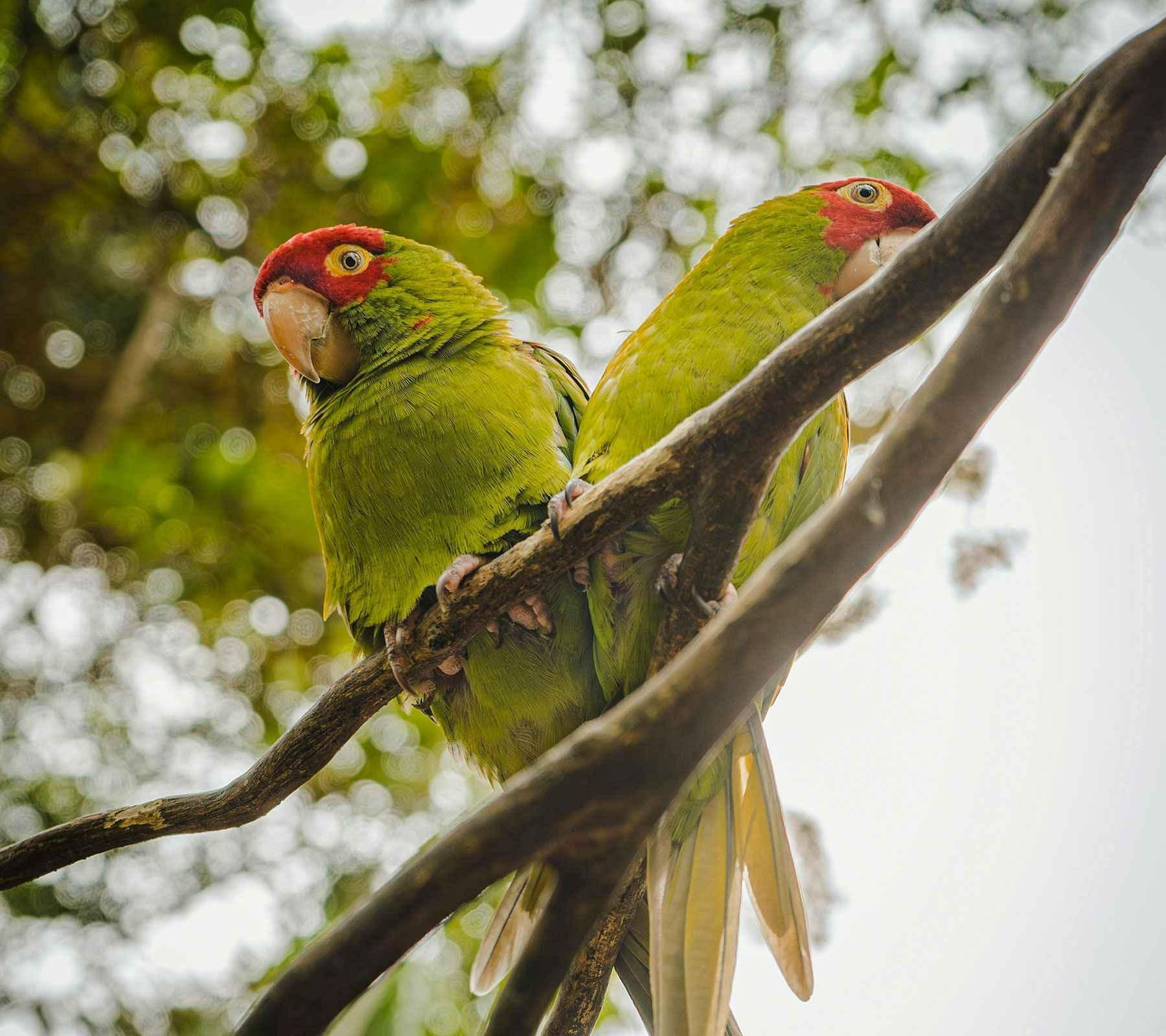 Ultimate Peru Adventure: From Lima to the Amazon via Nazca, Arequipa, Puno Cusco