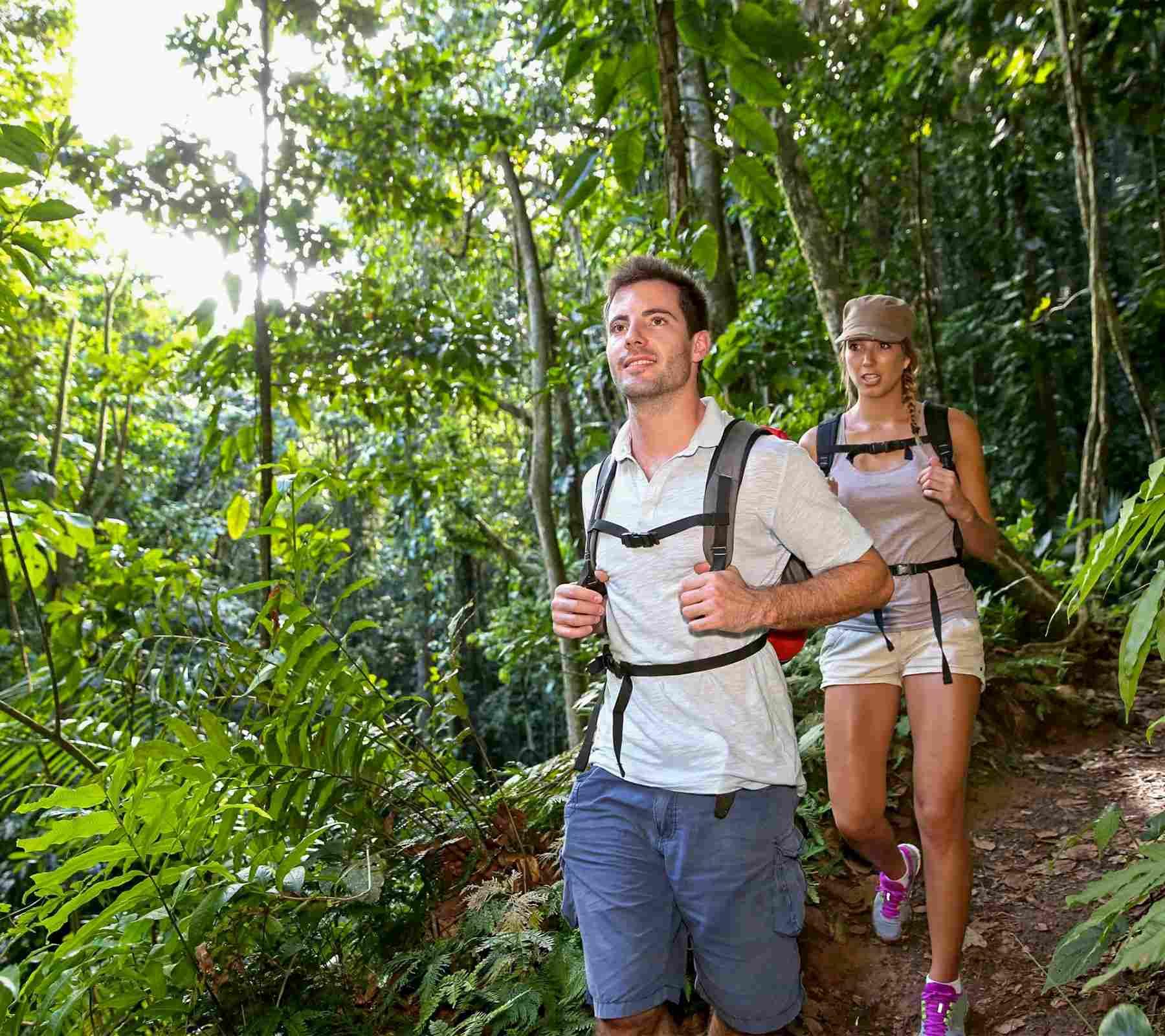 Amazon Honeymoon