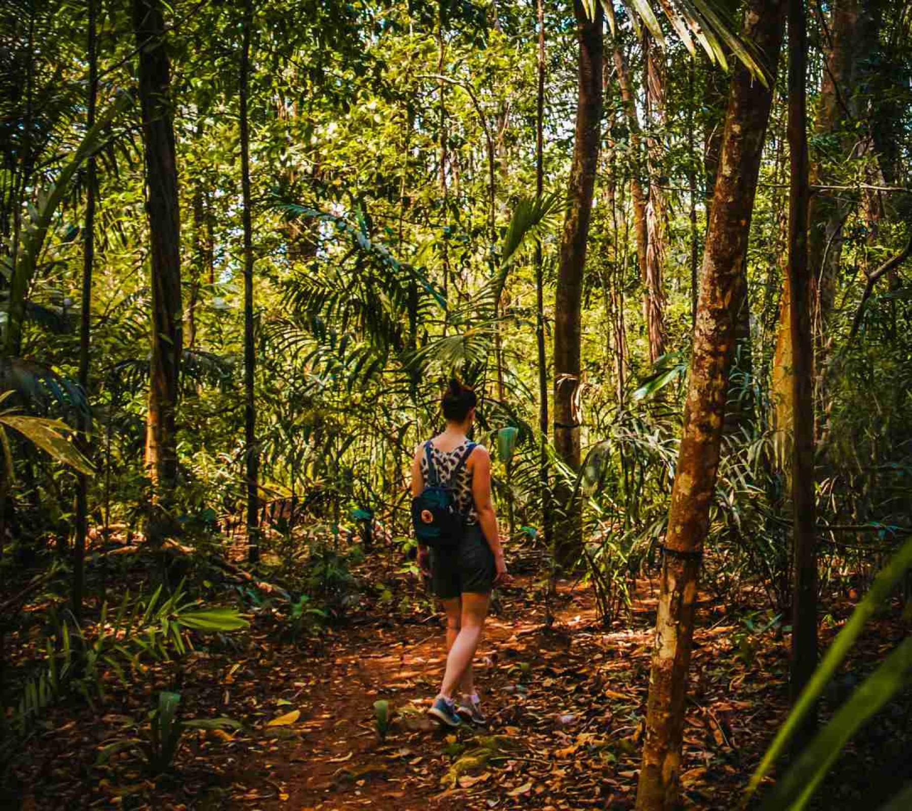 Amazon Jungle to Salkantay Peru: 
