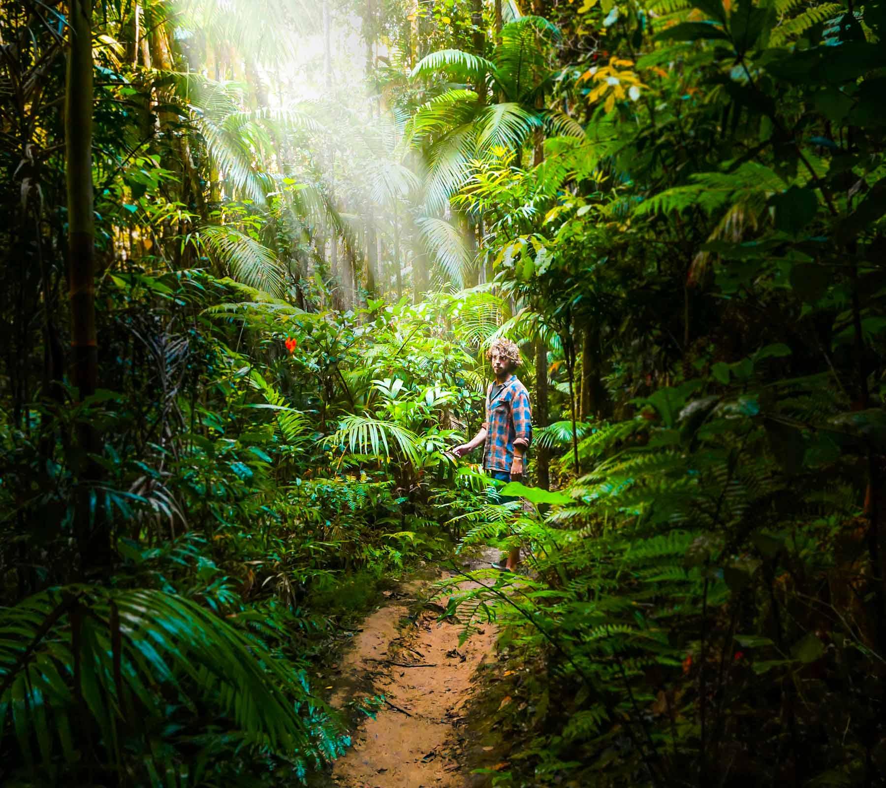Amazon Rainforest Peru | Peru Amazon Tours | Amazon Trips Peru