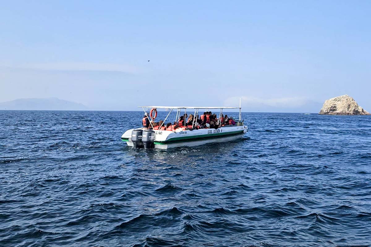 Ballestas Islands Paracas