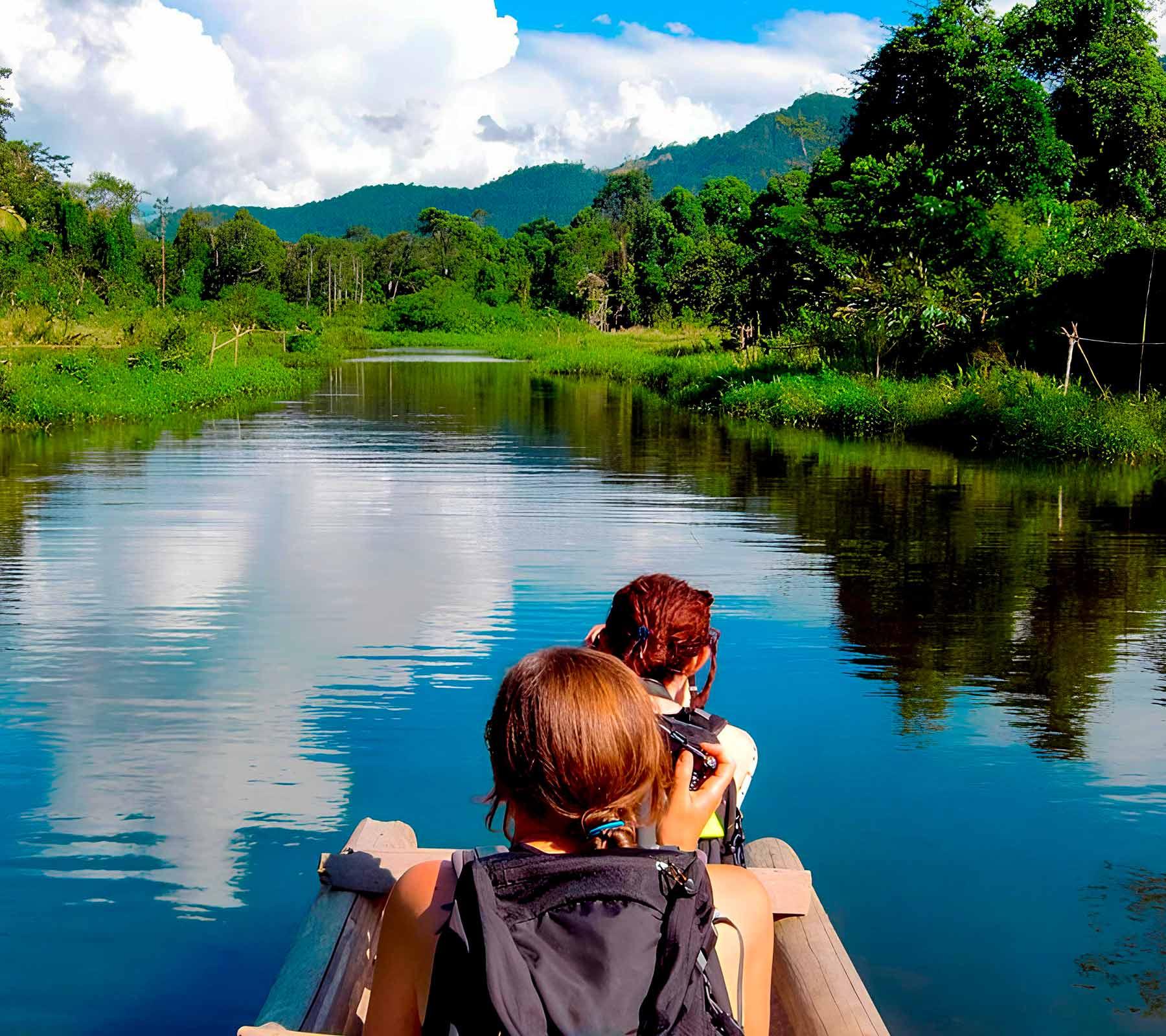 Discovering the Heart of the Amazon: Manu National Park