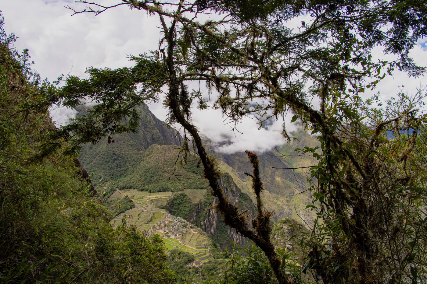 Huayna Picchu