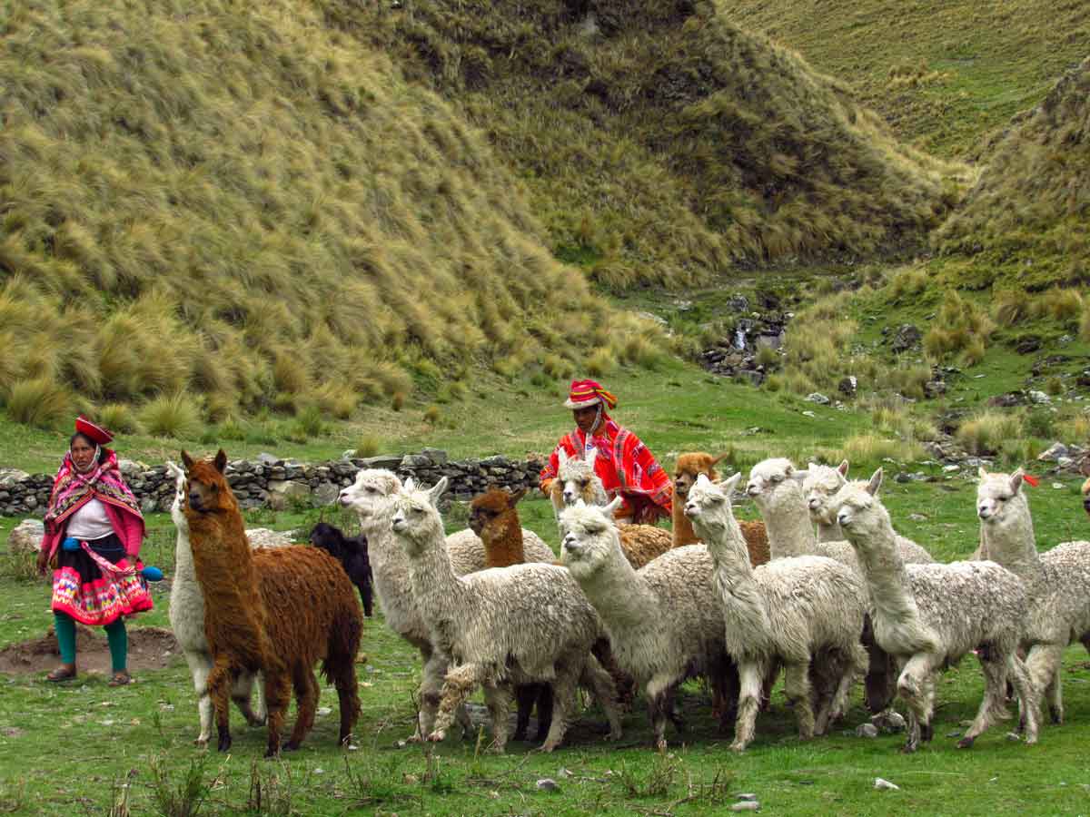 Lares Valley trek