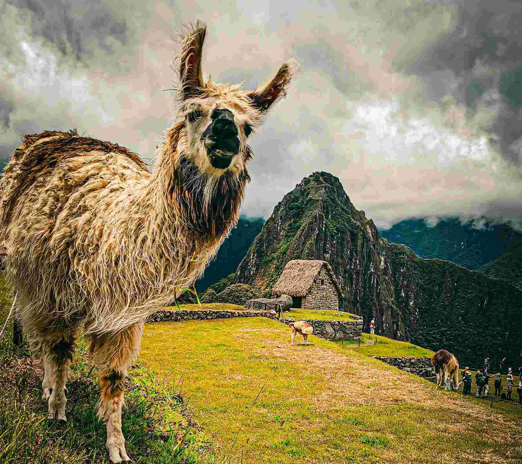Machu Picchu Best travel for couples