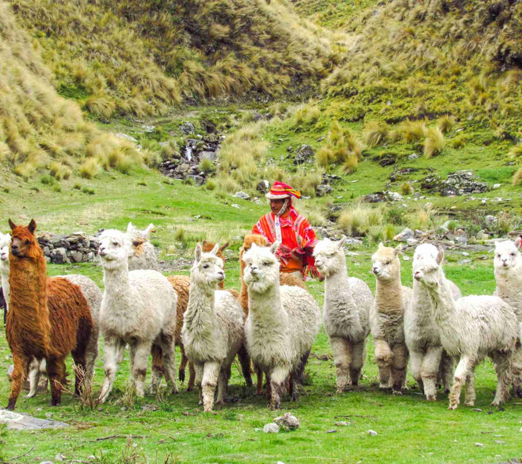 Machu Picchu Hike