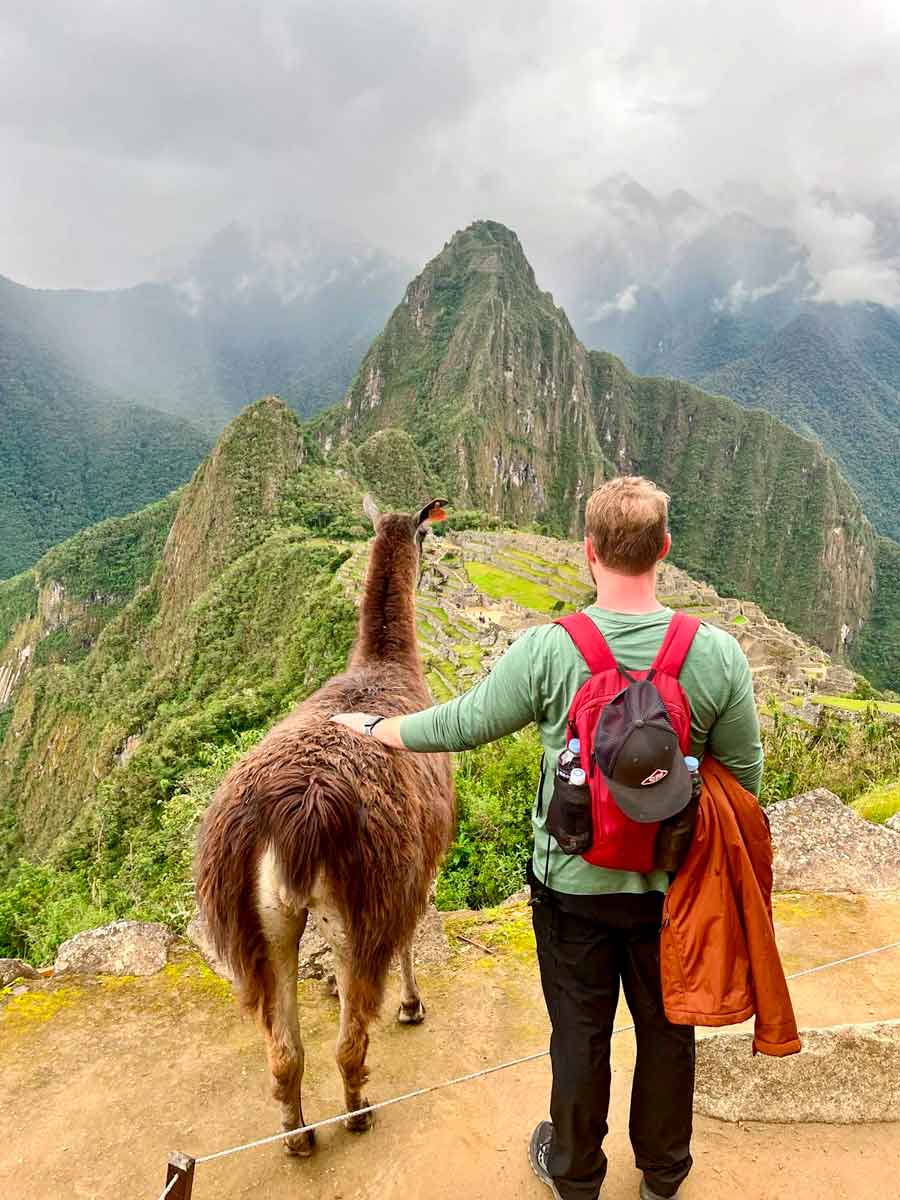 Machu Picchut Llamas