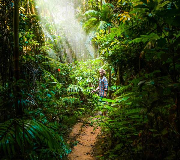 Amazon Rainforest Peru | Peru Amazon Tours | Amazon Trips Peru