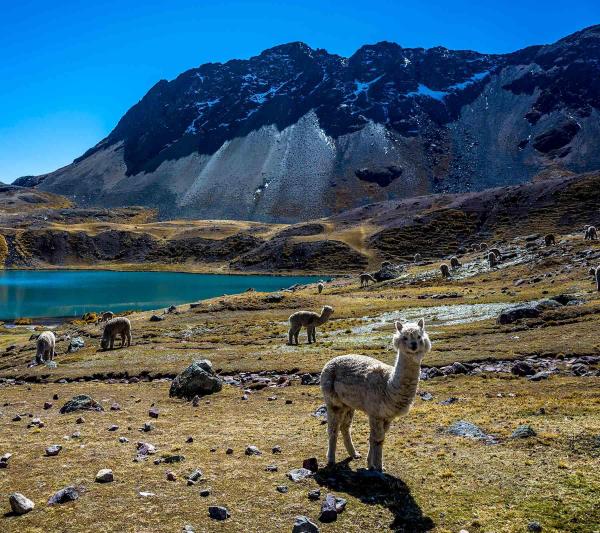Ausangate Trek Peru: The Best Natural trek in Peru