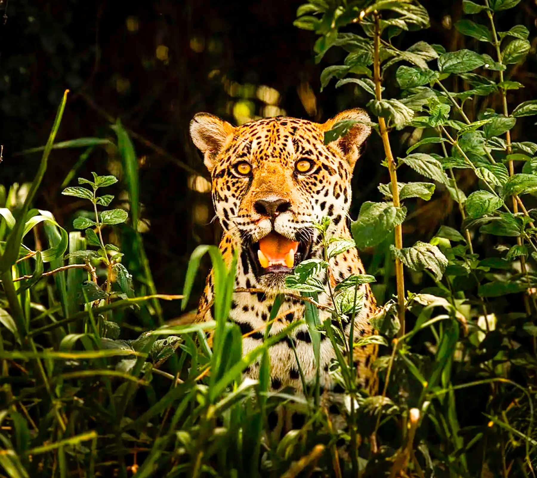Best Peru Tour