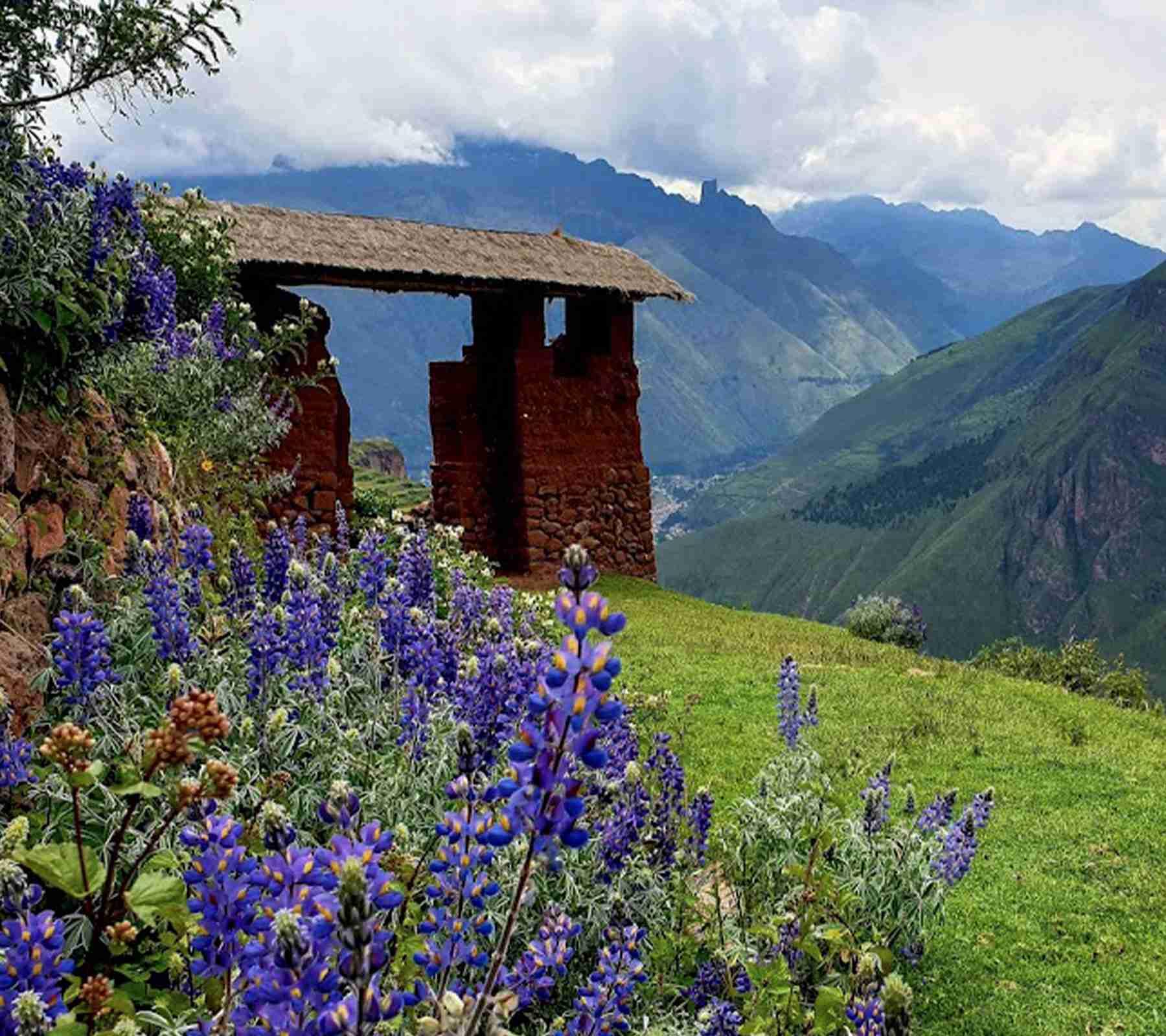 Qosqo Inka