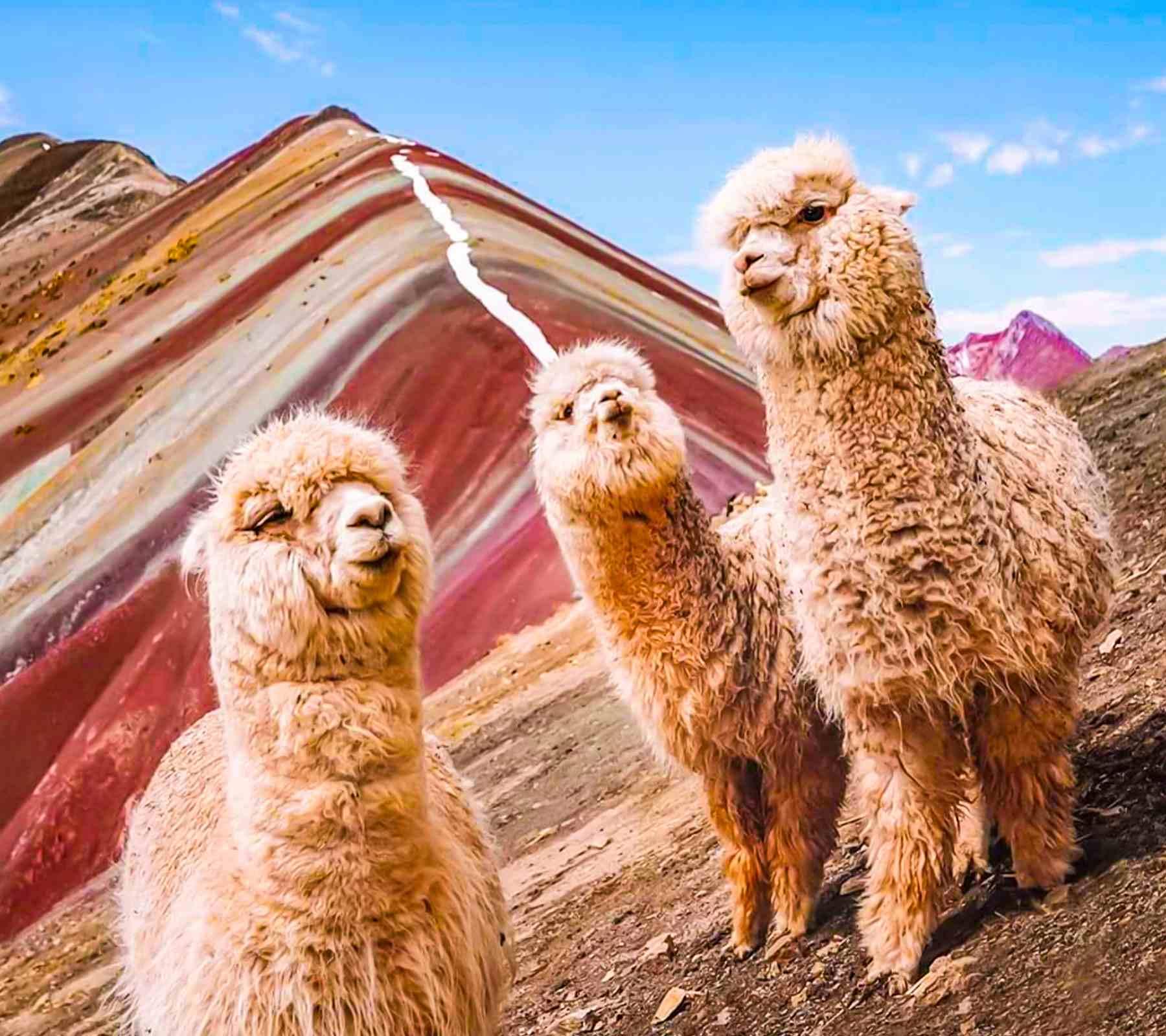 Rainbow Hills Peru