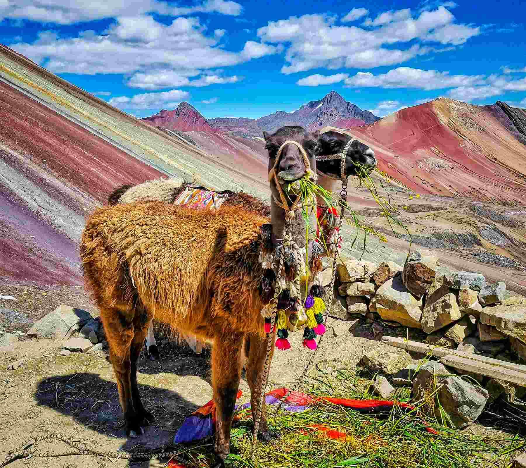 Rainbow Mountain from Cusco