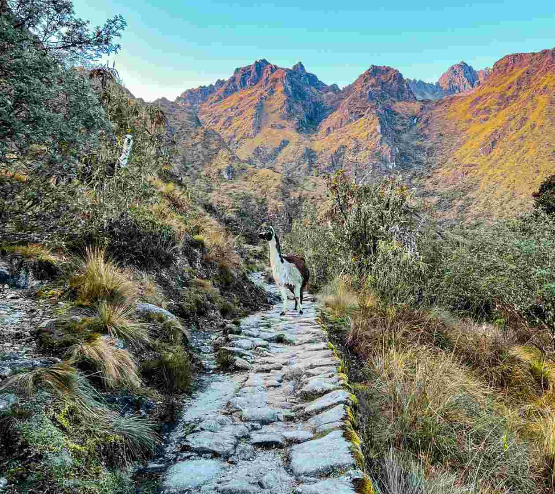 Salkantay trek guided tour