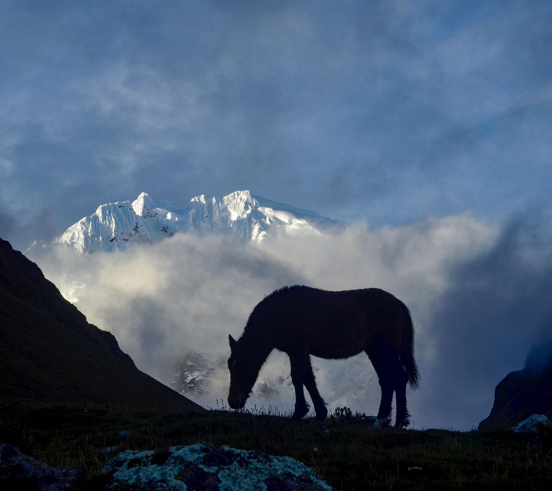 Salkantay Trek to Machu Picchu FAQs