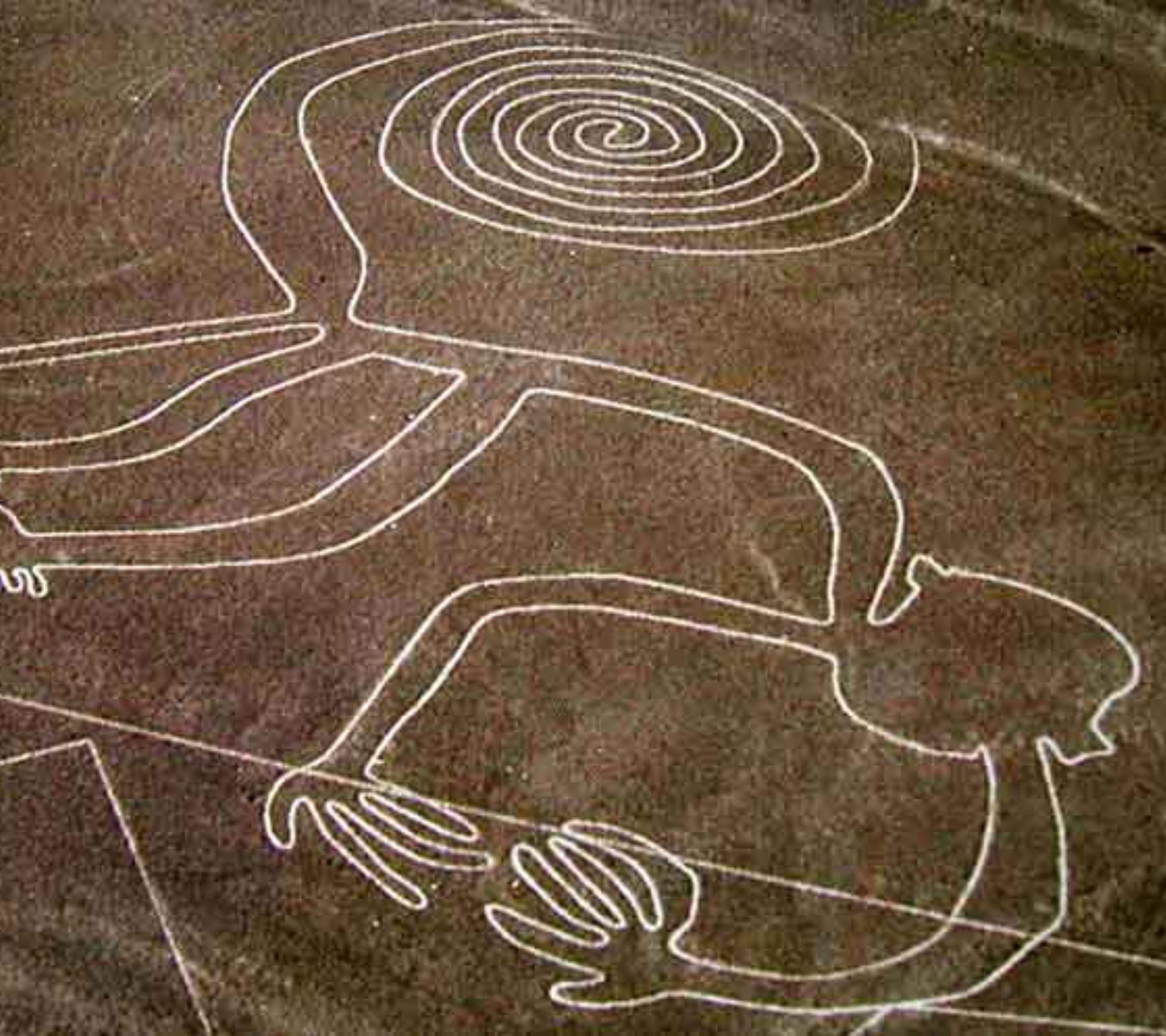 The Nazca Lines, the enigmatic drawings that cover the desert